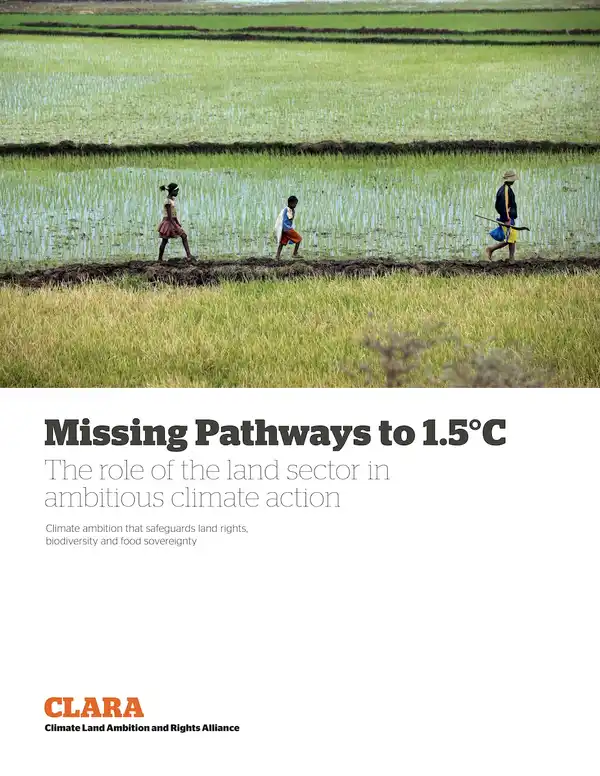 Missing Pathways to 1.5°C: The role of the land sector in ambitious climate action