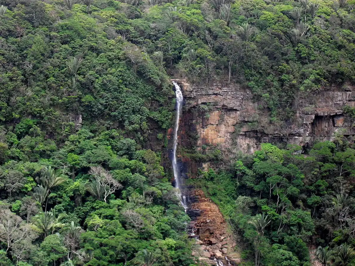 Brazilian Atlantic Dry Forests (NT15)