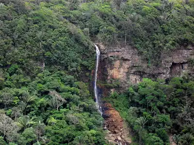 Brazilian Atlantic Dry Forests (NT15)