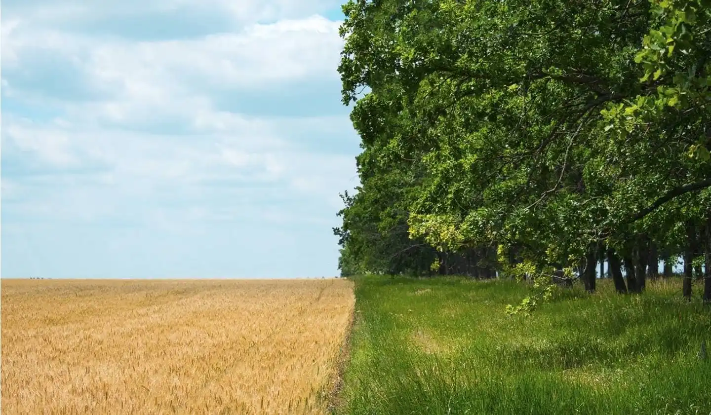 Regenerative Agriculture can play a key role in combating climate change