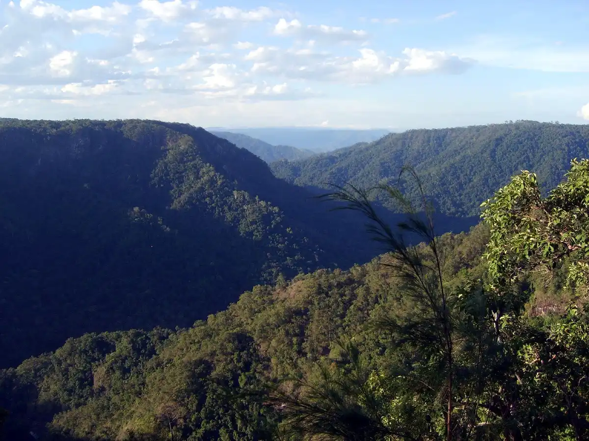 Queensland Tropical Rainforests & Savannas (AU9)