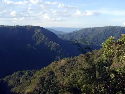 Queensland Tropical Rainforests & Savannas (AU9)