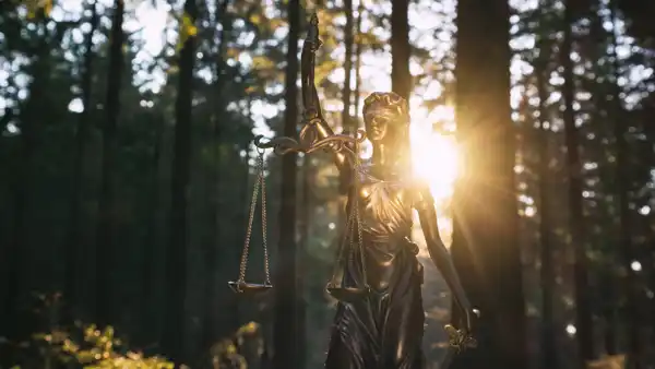 Legal Empowerment