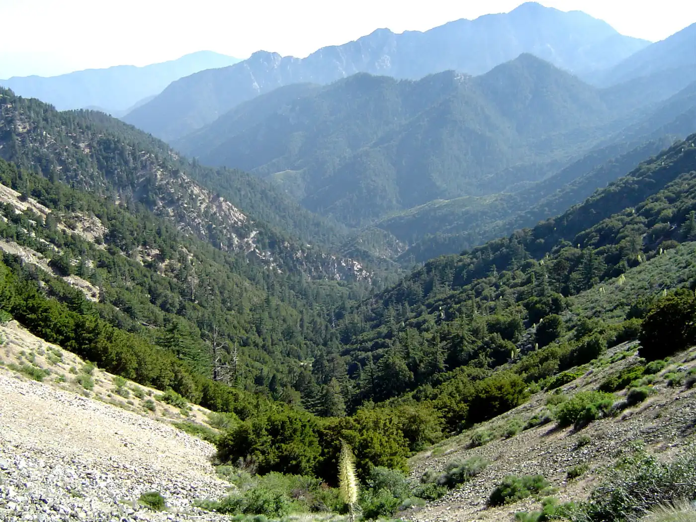 Greater California (NA31)
