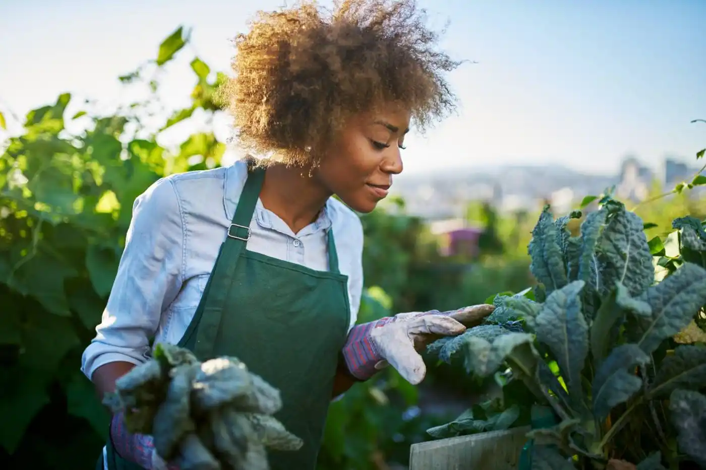 Supporting BIPOC Farmers to Measure and Monetize Regenerative Agricultural Practices in the Southeastern US