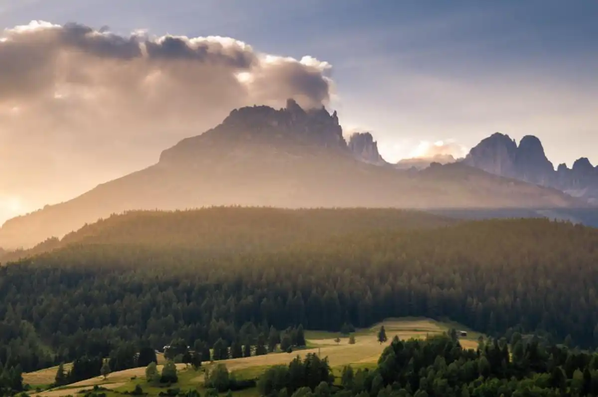 European Mountain Forests