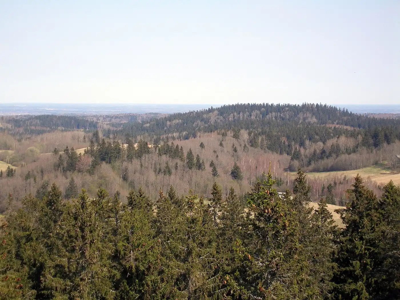 Baltic Sea & Sarmatic Mixed Forests (PA11)