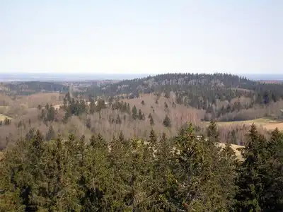 Baltic Sea & Sarmatic Mixed Forests (PA11)