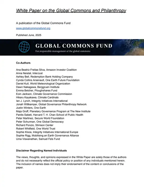 White Paper on the Global Commons and Philanthropy