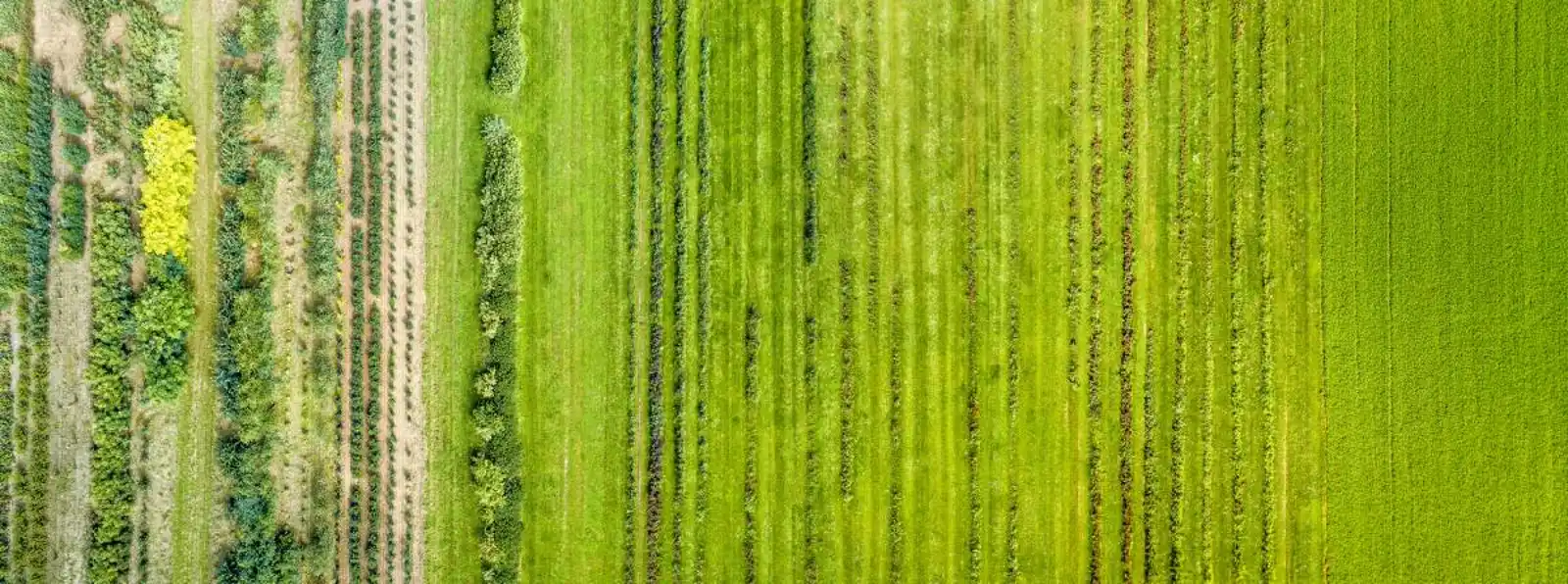 Agroecology Fund