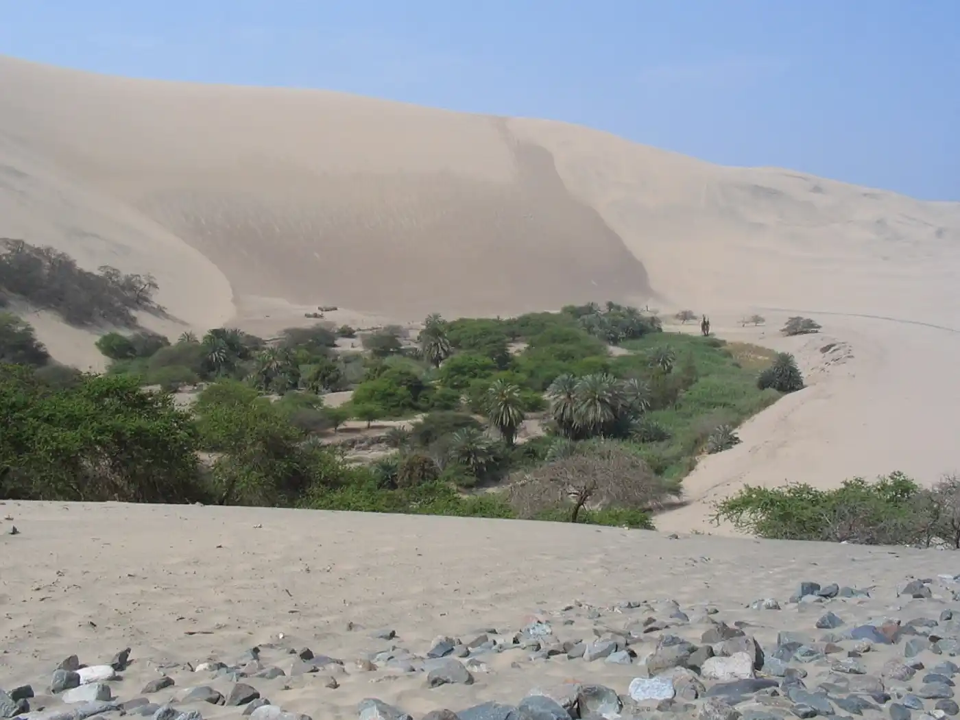 South American Coastal Deserts (NT8)