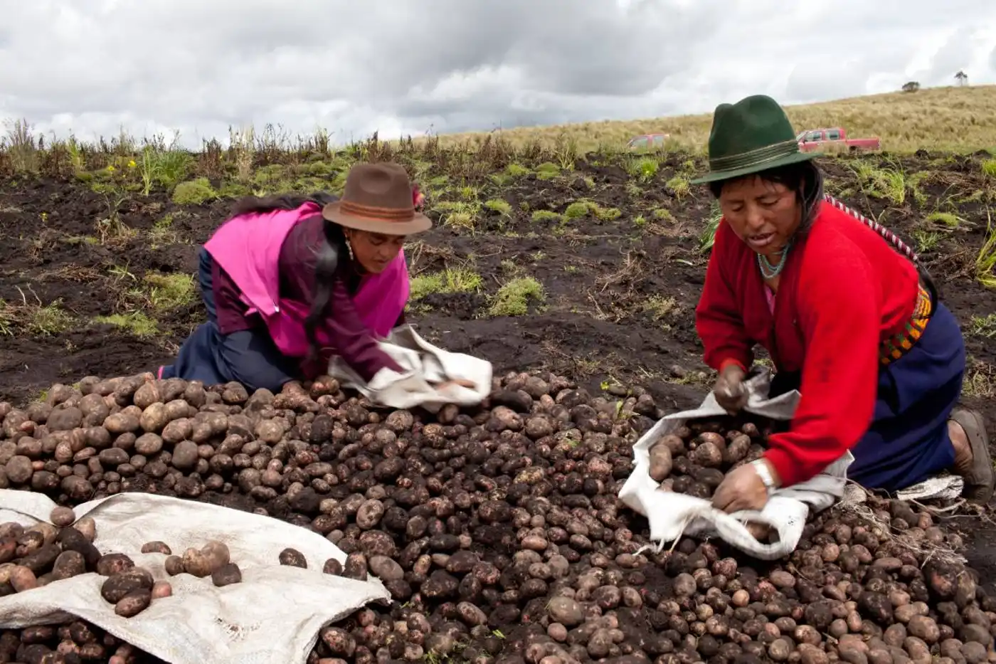 Strengthening Community Management of Biodiversity and Food Systems in Ecuador’s Andean Highlands