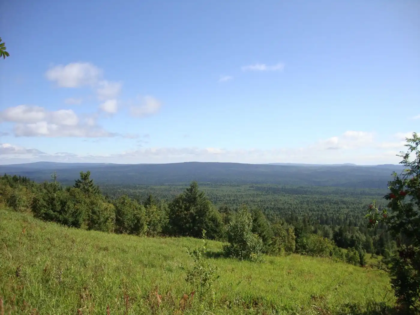 Ural Mountains & West Eurasian Taiga Forests (PA8)