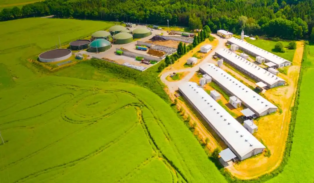 Sustainable Biomass