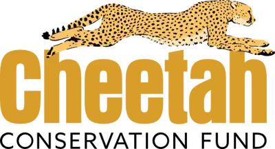 Cheetah Conservation Fund (CCF)