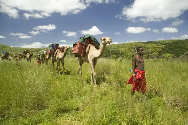 Grassland Restoration