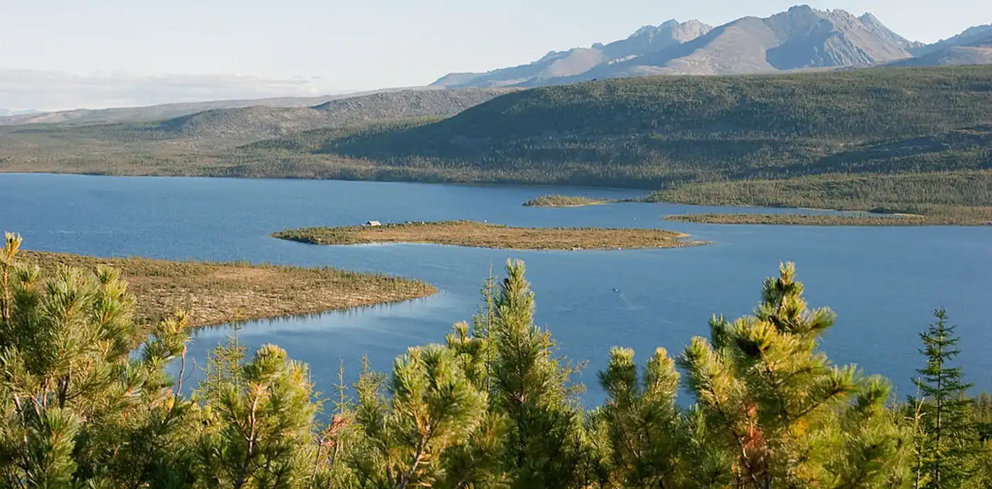 Siberian Boreal Forests & Mountain Tundra (PA7)