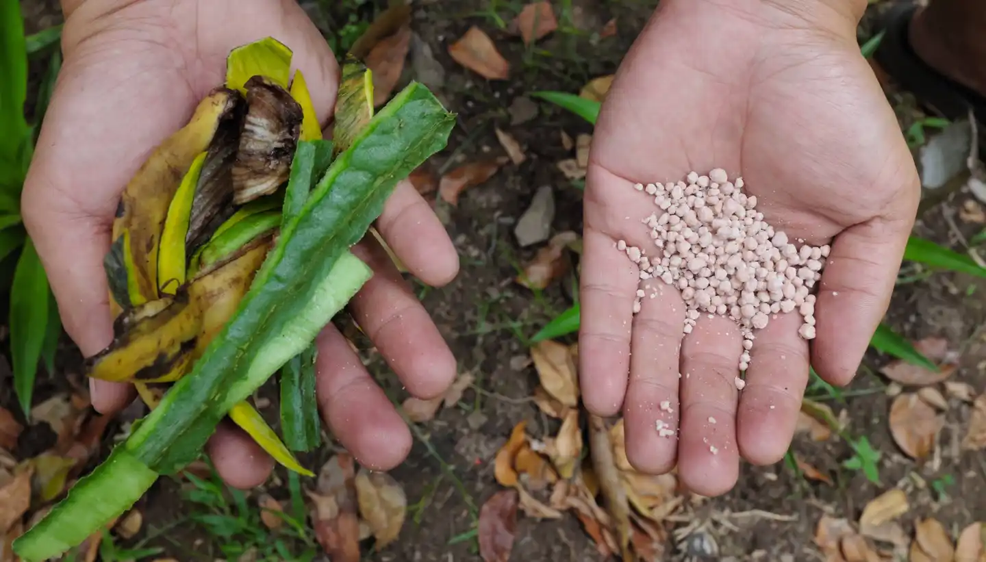Why is inorganic fertilizer so bad for the climate?