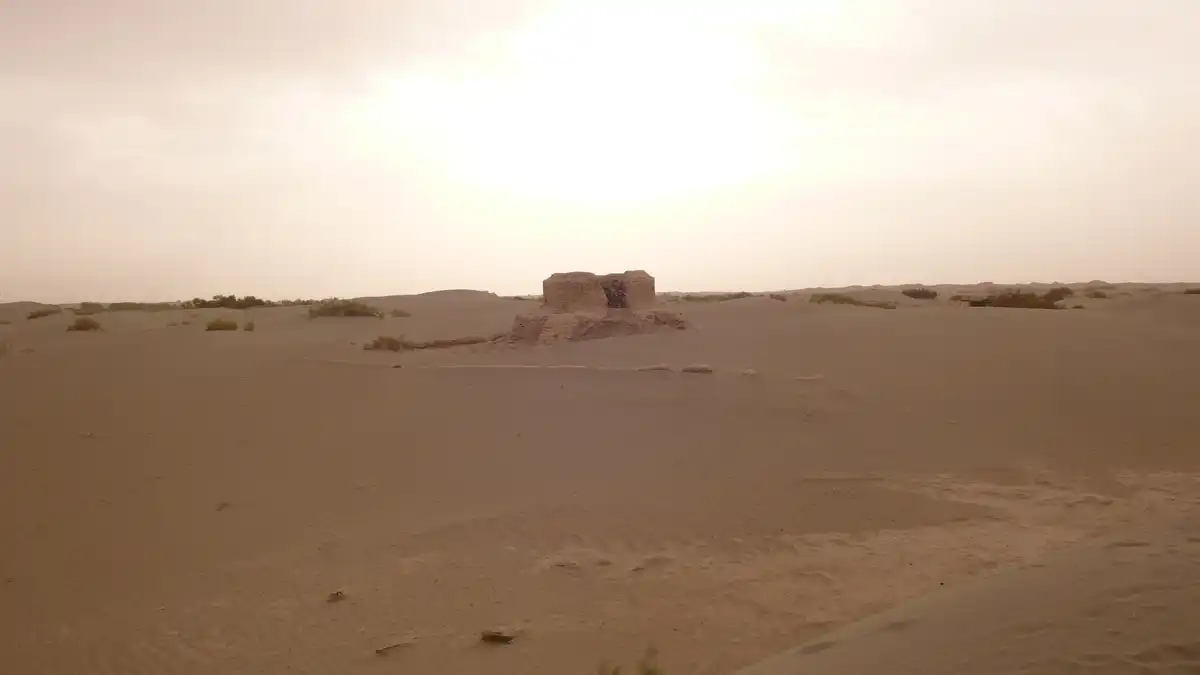 Taklimakan Desert & Lowland Deciduous Forests (PA39)