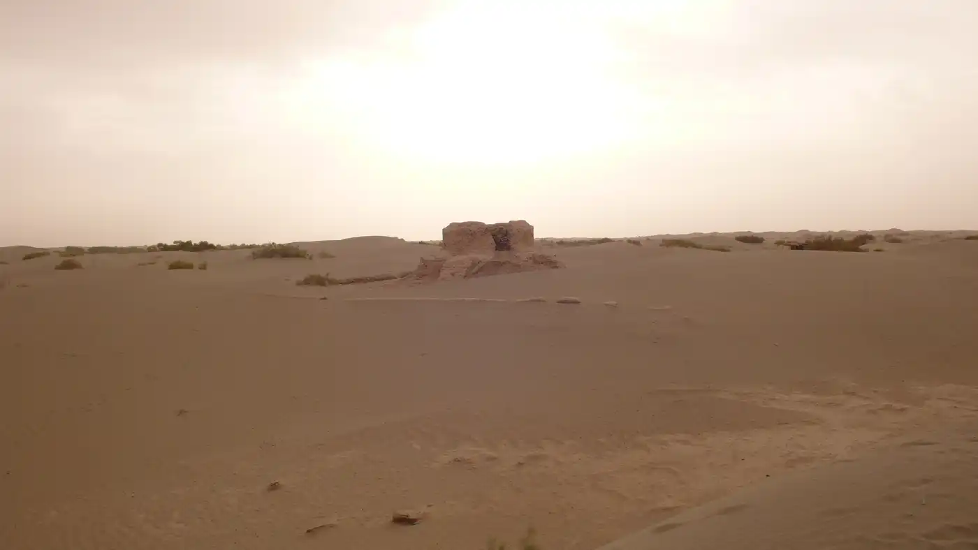 Taklimakan Desert & Lowland Deciduous Forests (PA39)