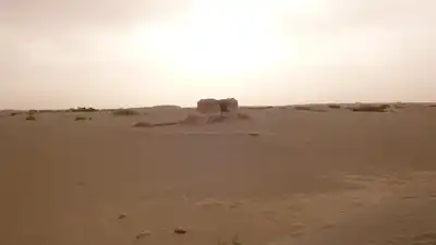 Taklimakan Desert & Lowland Deciduous Forests (PA39)