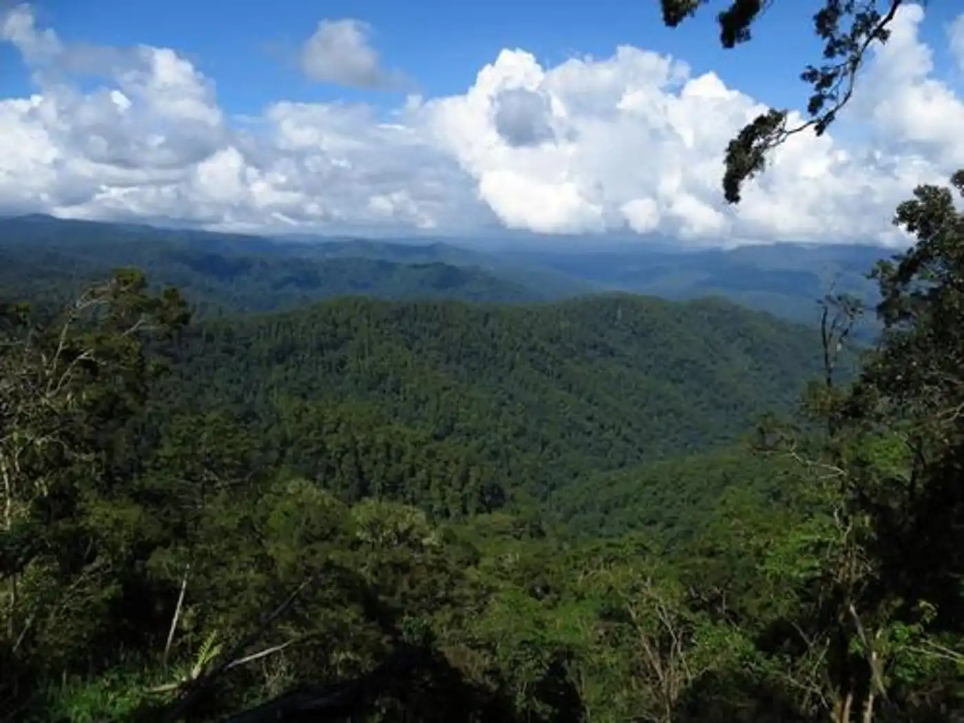 Sulawesi & Maluku Islands (AU14)