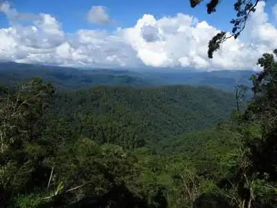 Sulawesi & Maluku Islands (AU14)