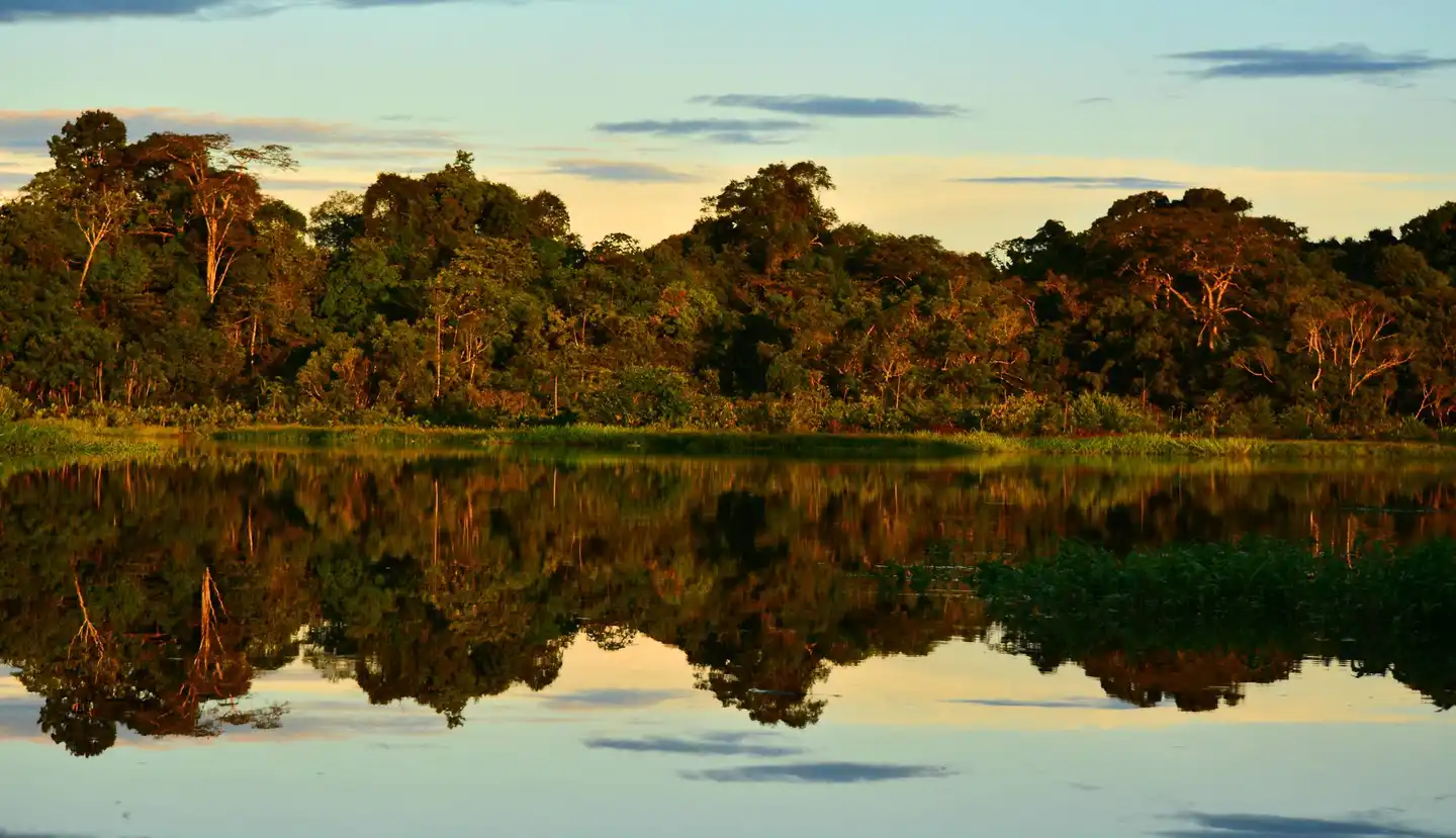 Ecuador's Yasuní oil referendum: A climate game-changer