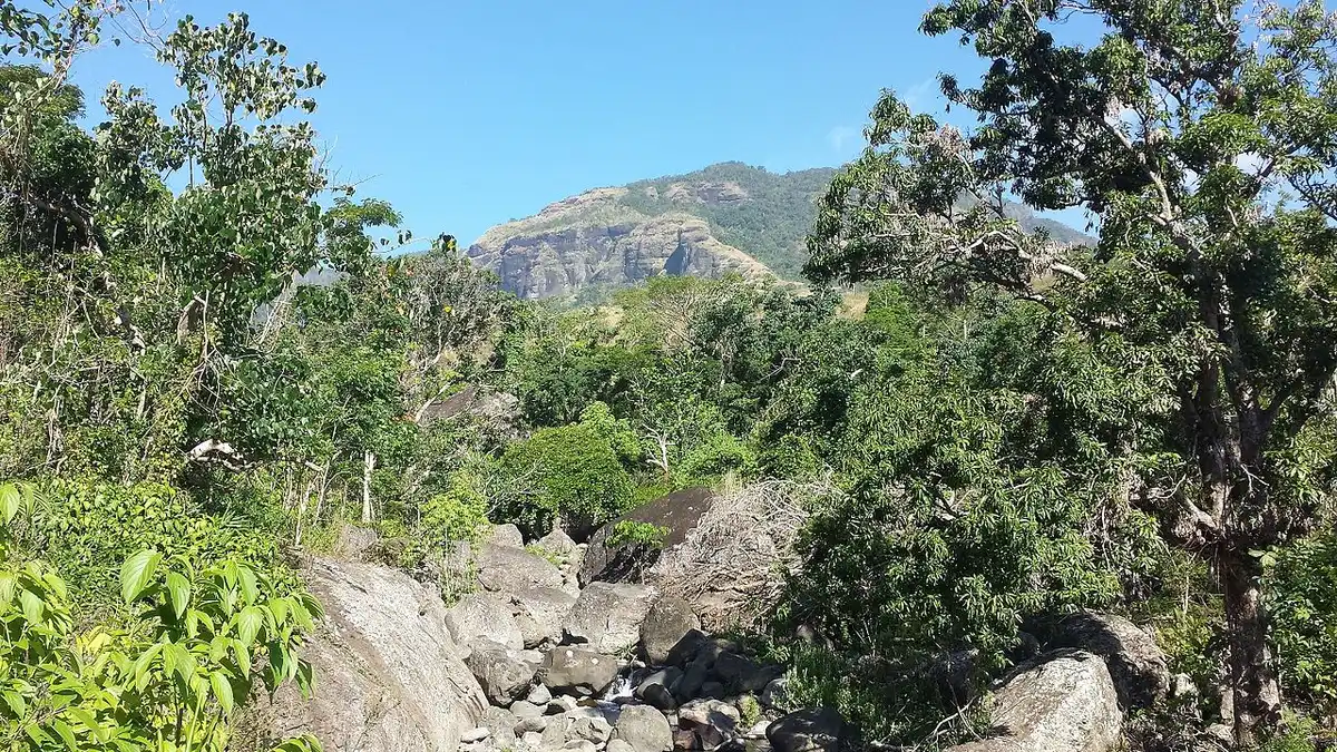Fiji & Tongan Tropical Islands (OC6)