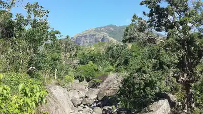 Fiji & Tongan Tropical Islands (OC6)