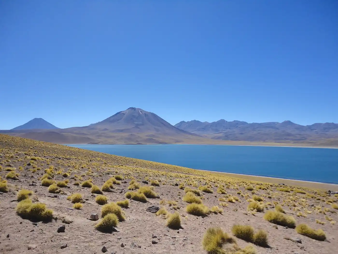 Andean Mountain Grasslands (NT5)