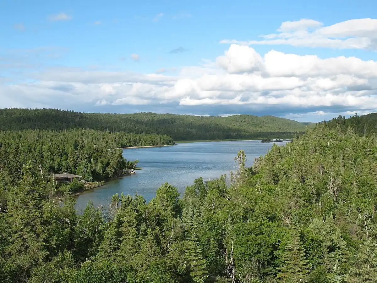 Canadian Shield & Coastal Taiga-Forests (NA9)