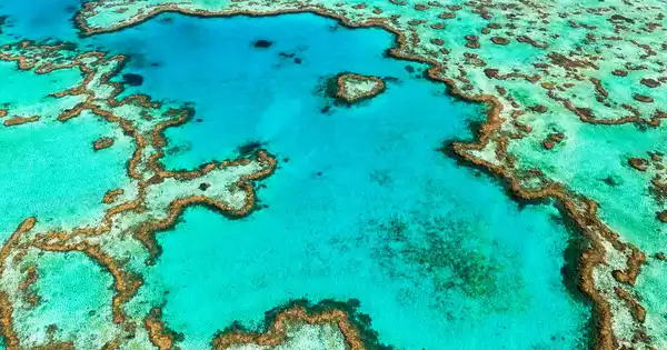 Protected Seas
