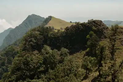 Mexican Dry & Coniferous Forests (NT28)