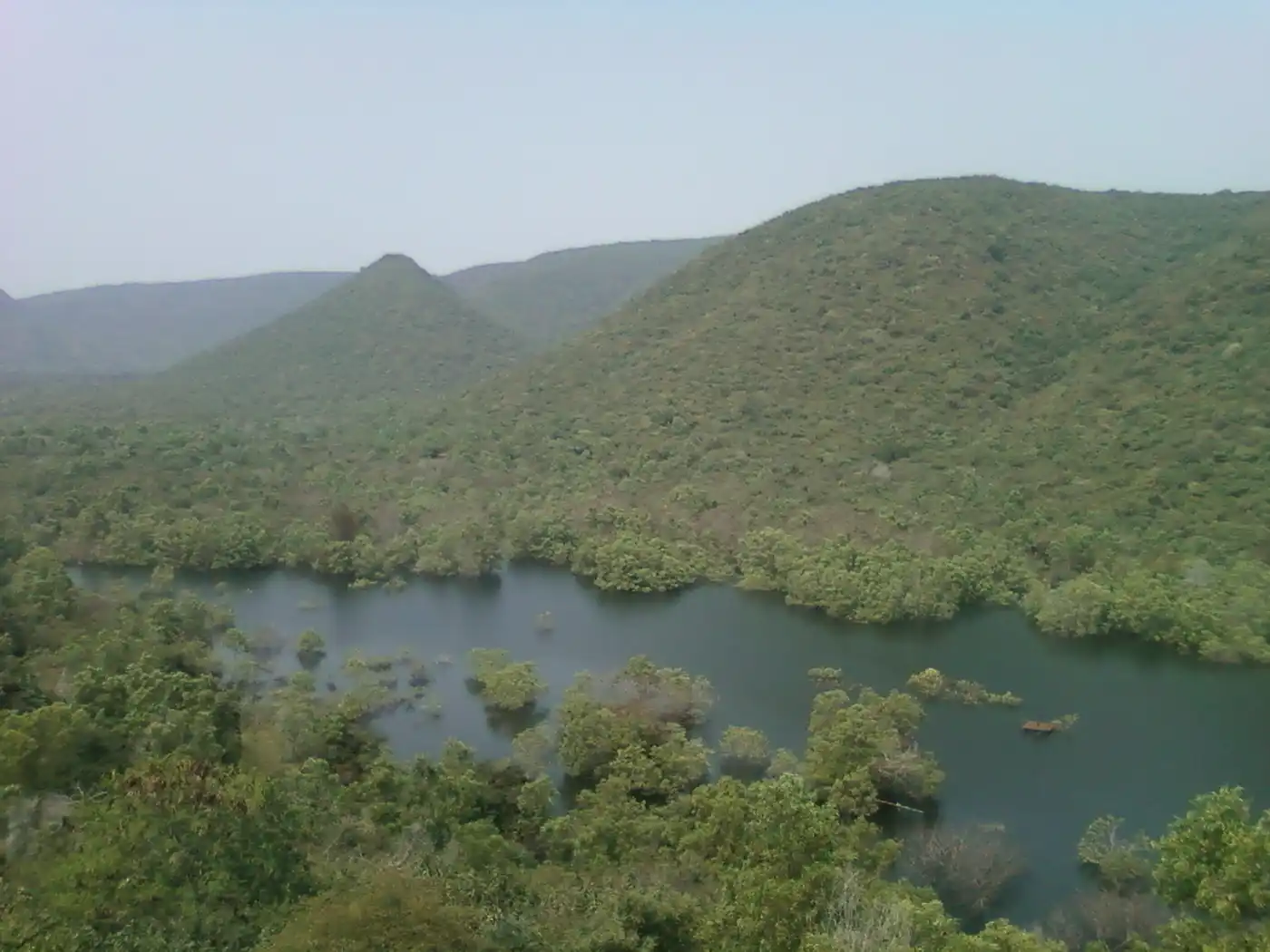 Northern Deccan & Odisha Tropical Forests (IM7)