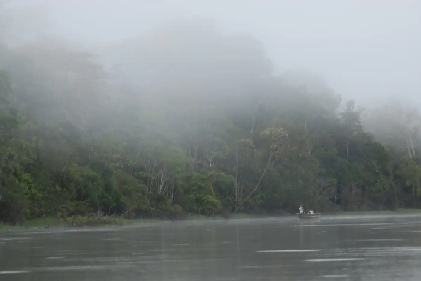 Western Amazonian Forests & Plains (NT18)