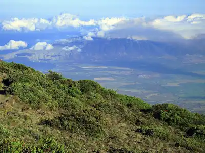 Hawai’i Tropical Islands (OC11)
