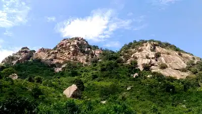 Indian Dry Deciduous Forests (IM3)