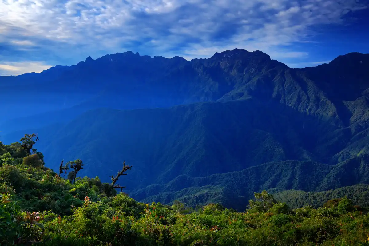 Andes Mountains & Pacific Coast