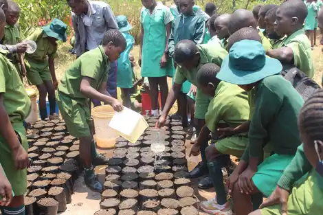 Indigenous tree nursery establishment at a school. Image credit: Courtesy of Research and Education for Sustainable Actions.jpeg