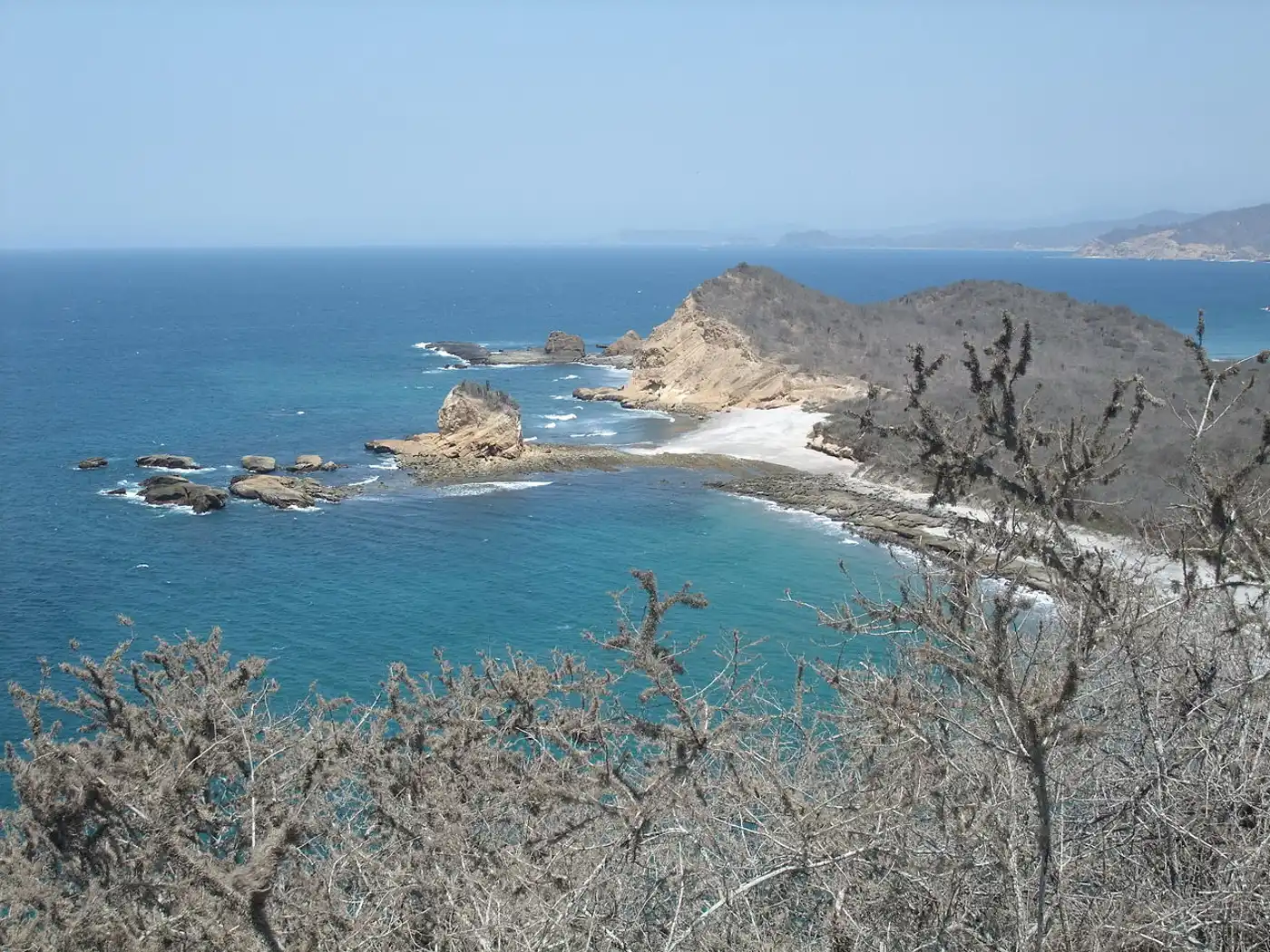 Ecuadorean Dry Coastal Forests & Flooded Grasslands (NT10)