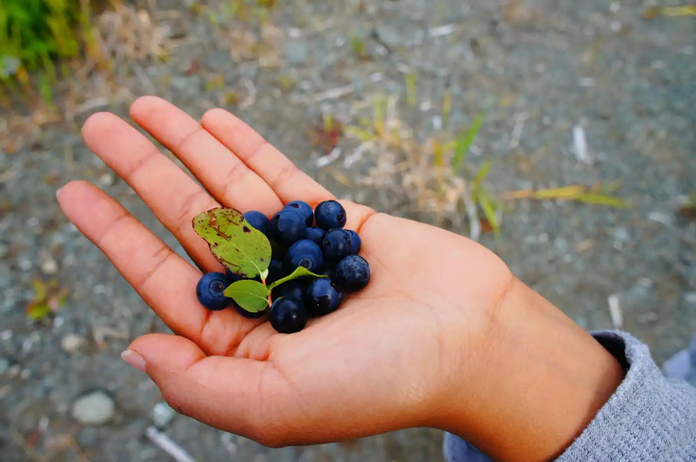 Propagating Native Plants and Revitalizing Ecological Practices of Indigenous Women in the Mississippi Delta