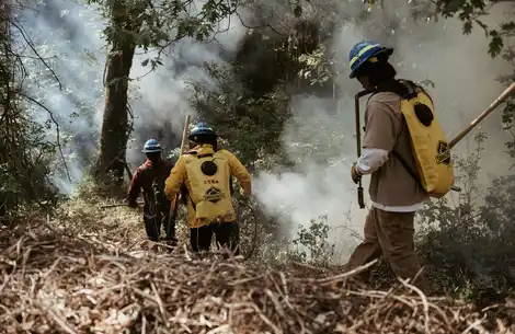 Healing California Ecosystems with Indigenous ‘Good Fire’ Burning Practices