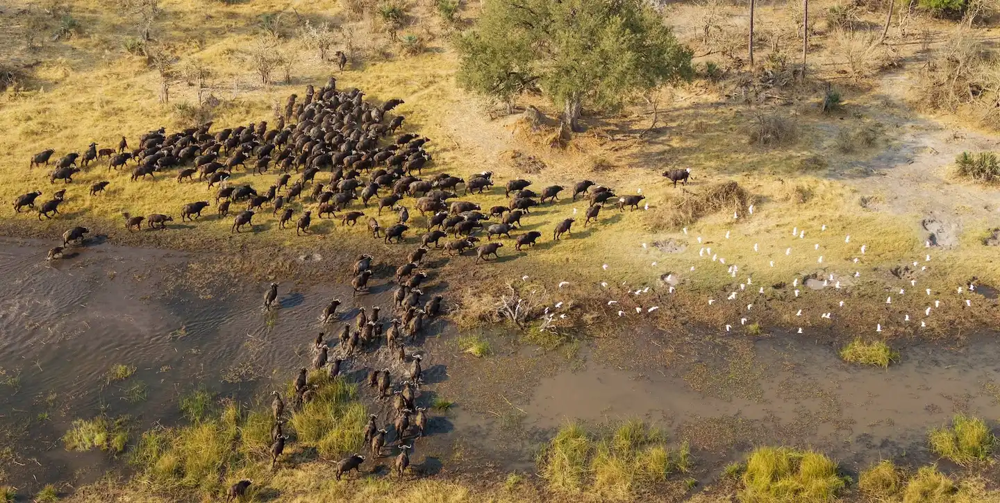 New Global Effort for Ecological Connectivity at UN